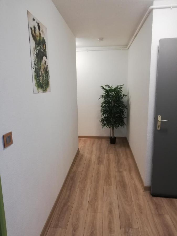 Grand T3 Avec Clim, Parking Et Terrasse Privative - Agen Apartment Екстериор снимка